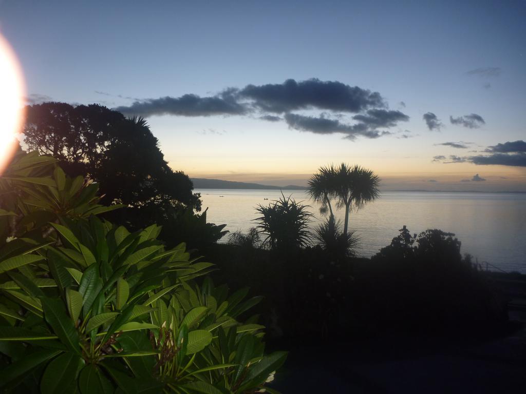 Pohutukawa Coast Bnb Te Puru Exterior foto