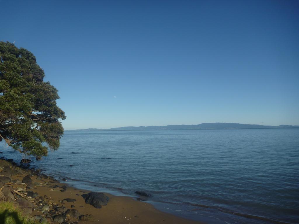Pohutukawa Coast Bnb Te Puru Exterior foto
