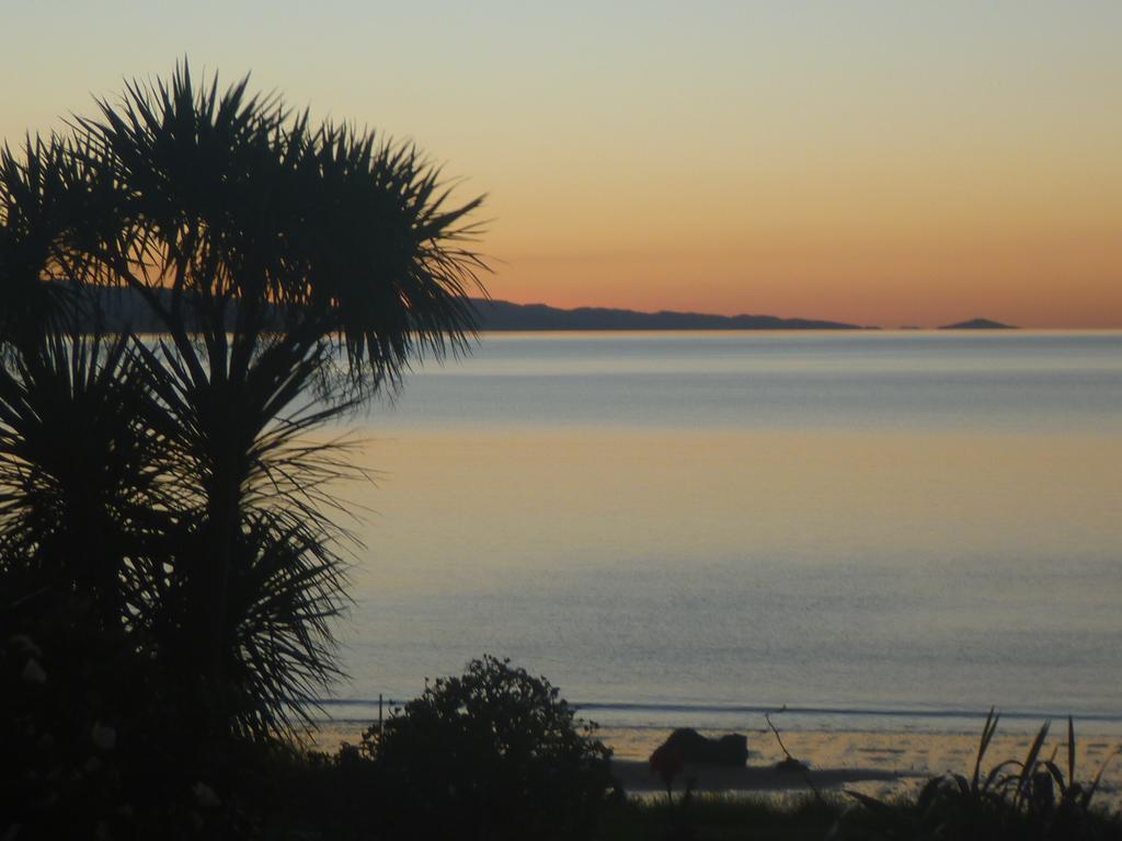 Pohutukawa Coast Bnb Te Puru Exterior foto