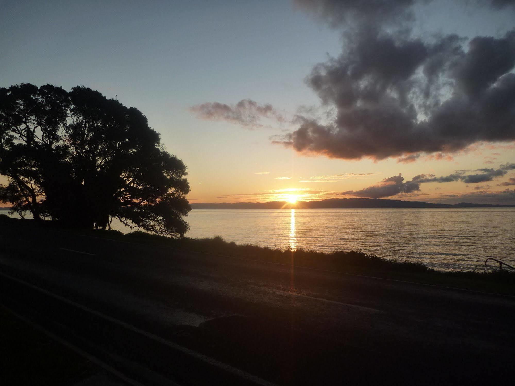 Pohutukawa Coast Bnb Te Puru Exterior foto