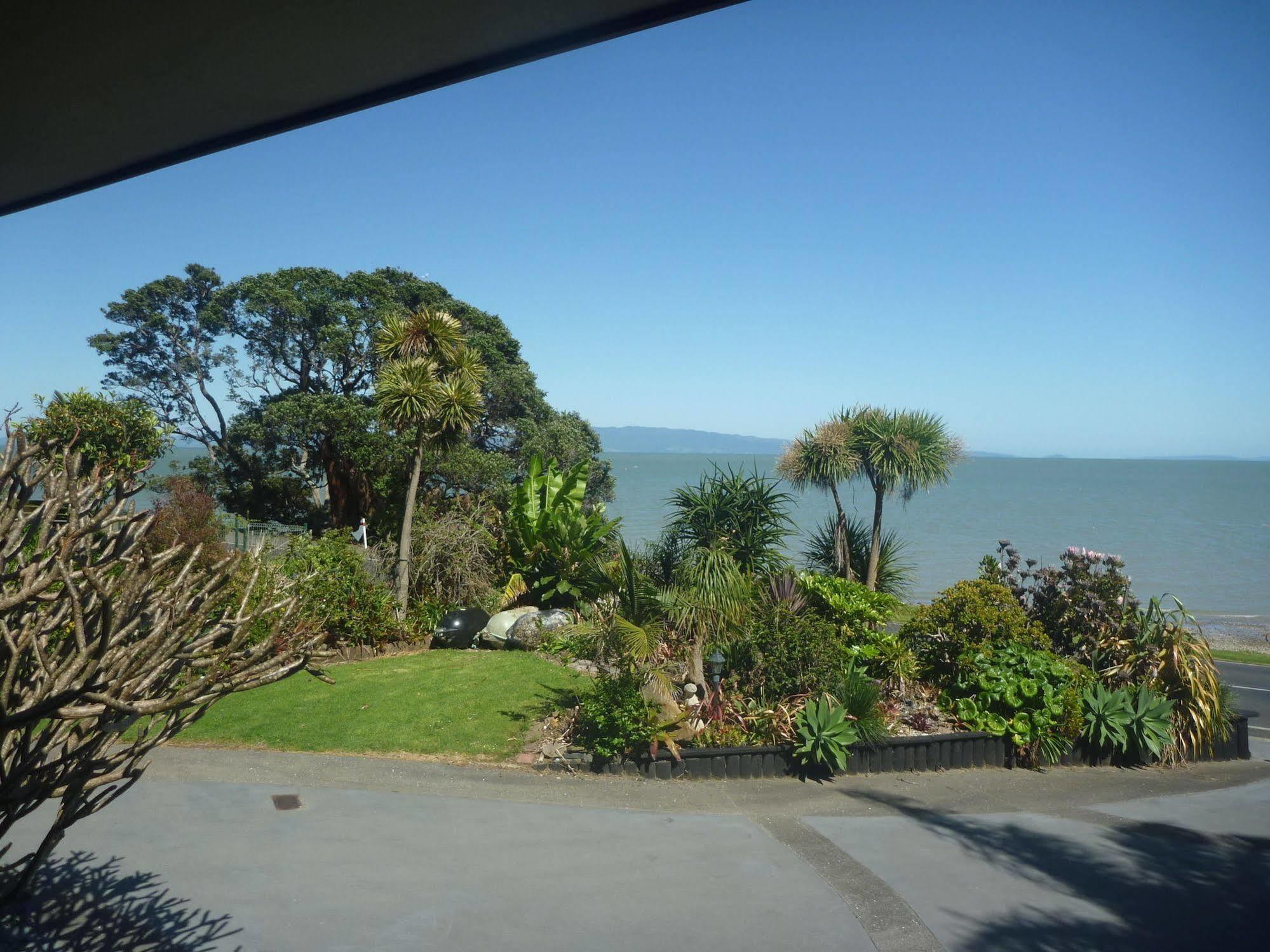 Pohutukawa Coast Bnb Te Puru Exterior foto